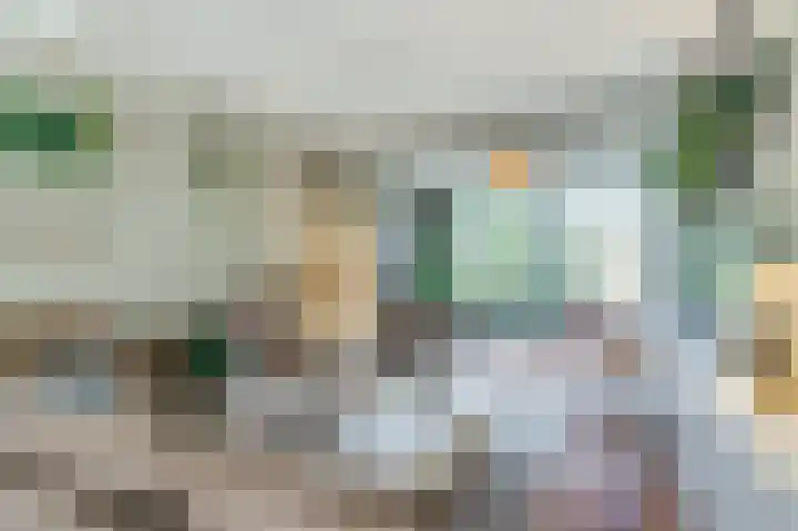 Ampèrestraat 18 Oosterhout thumbnail 6