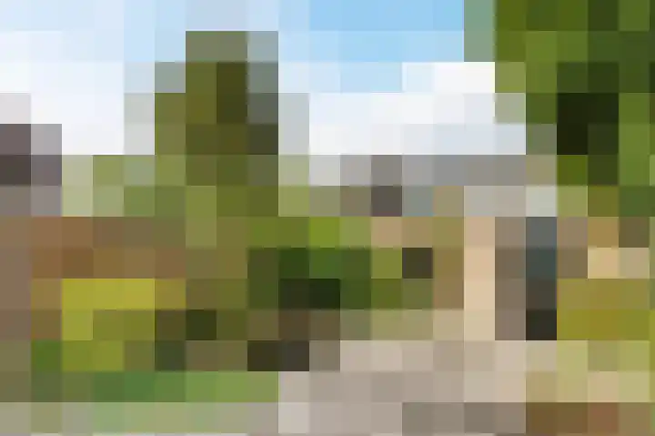 Ampèrestraat 18 Oosterhout thumbnail 9