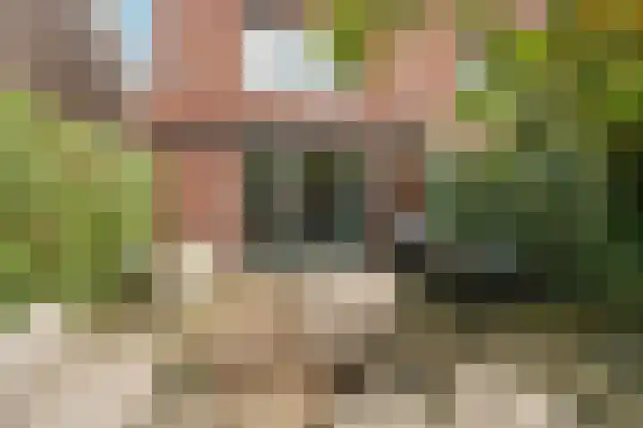 Ampèrestraat 19 Arnhem thumbnail 39