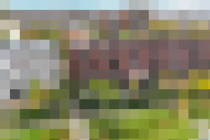 Ampèrestraat 19 Arnhem thumbnail 41