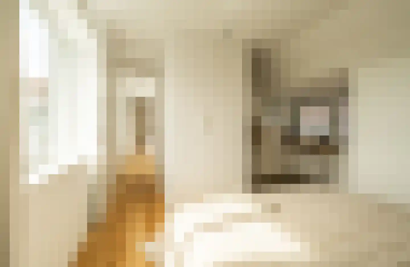Ampèrestraat 2 B Amsterdam thumbnail 19