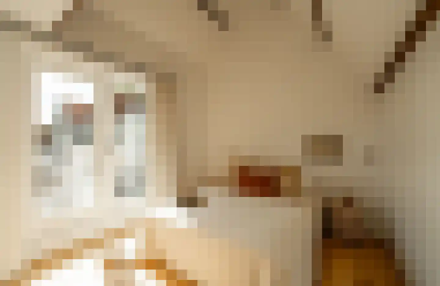 Ampèrestraat 2 B Amsterdam thumbnail 24