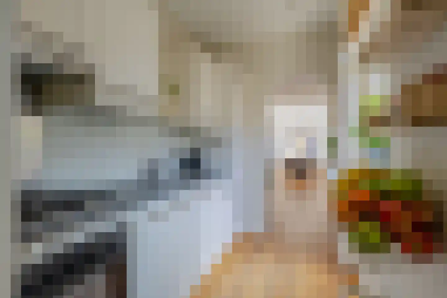 Ampèrestraat 2 Utrecht thumbnail 11