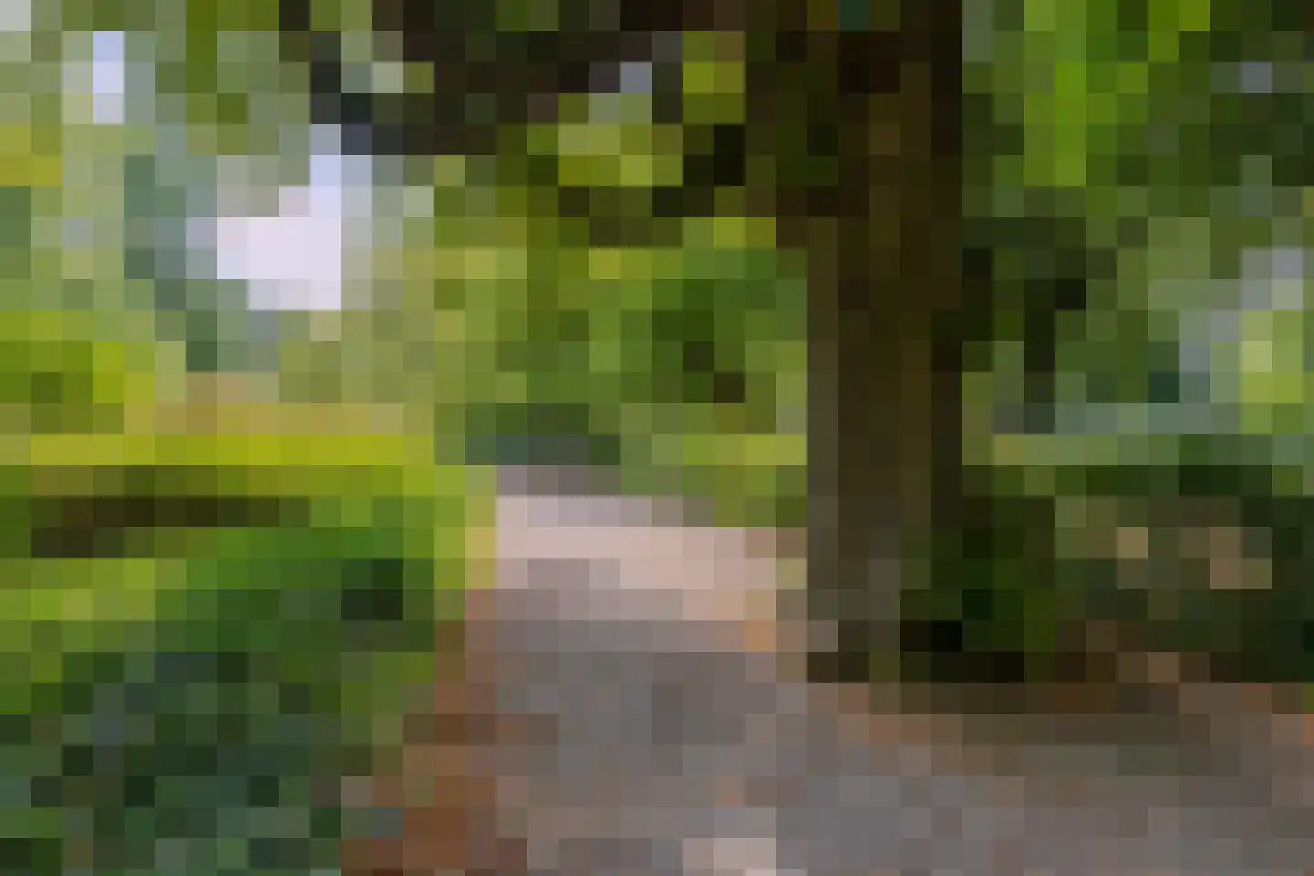 Ampèrestraat 2 Utrecht thumbnail 26