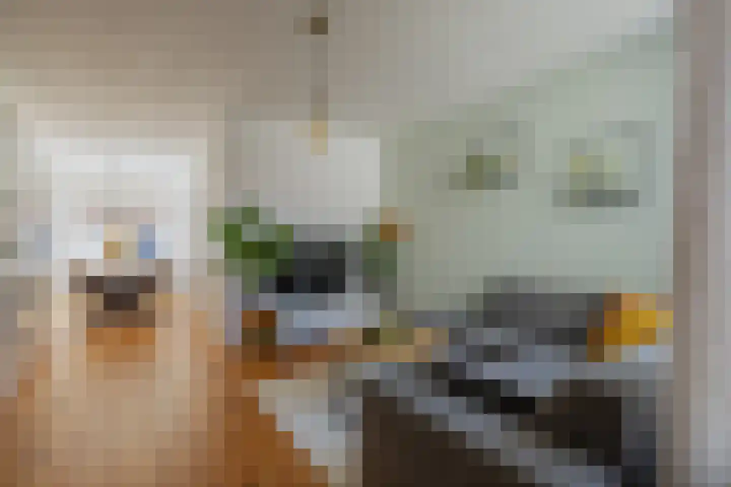 Ampèrestraat 2 Utrecht thumbnail 4