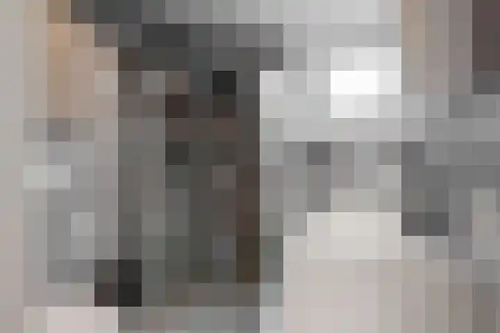 Ampèrestraat 20 Kudelstaart thumbnail 20