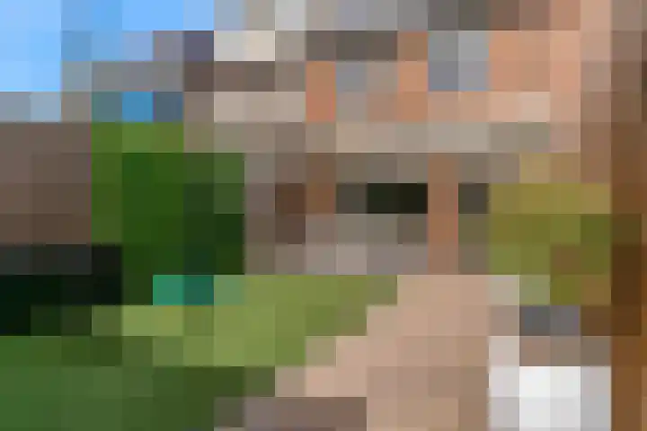 Ampèrestraat 20 Kudelstaart thumbnail 33
