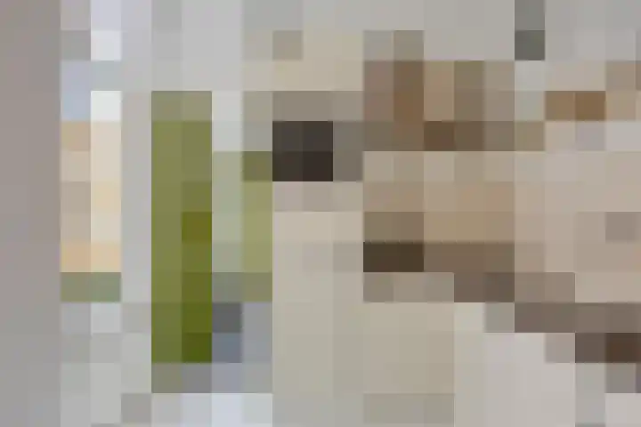 Ampèrestraat 208 Den Haag thumbnail 19