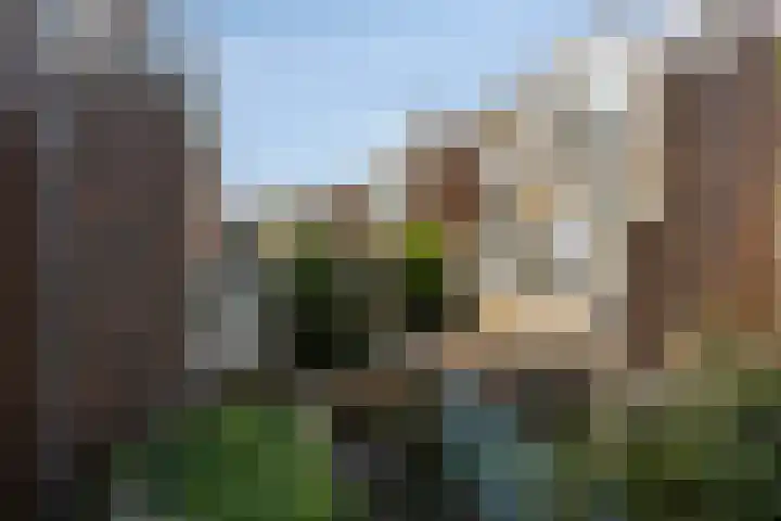 Ampèrestraat 208 Den Haag thumbnail 33