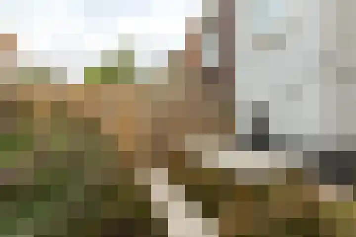 Ampèrestraat 22 B Schiedam thumbnail 4
