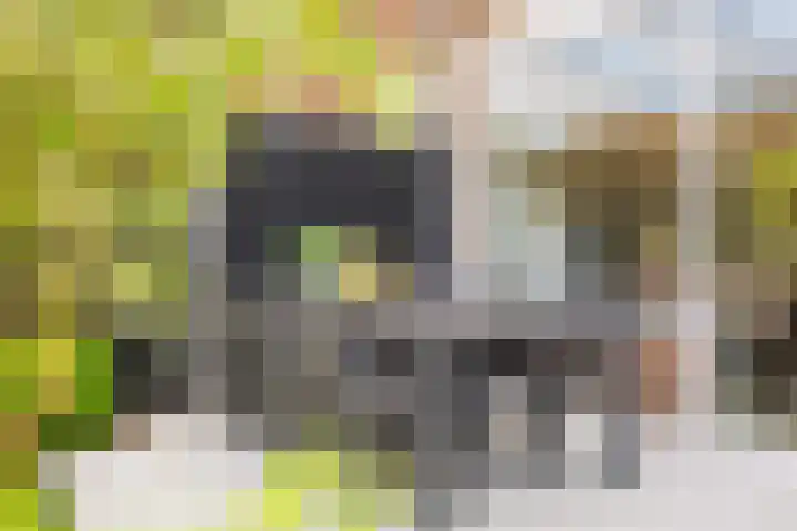 Ampèrestraat 24 Apeldoorn thumbnail 13
