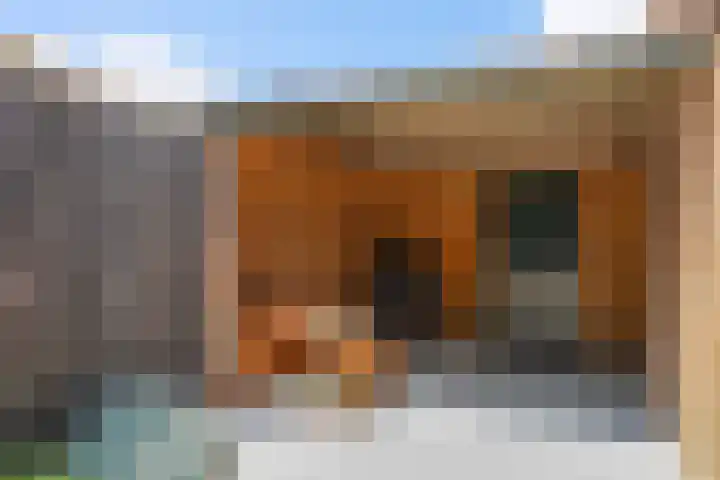 Ampèrestraat 24 Apeldoorn thumbnail 16