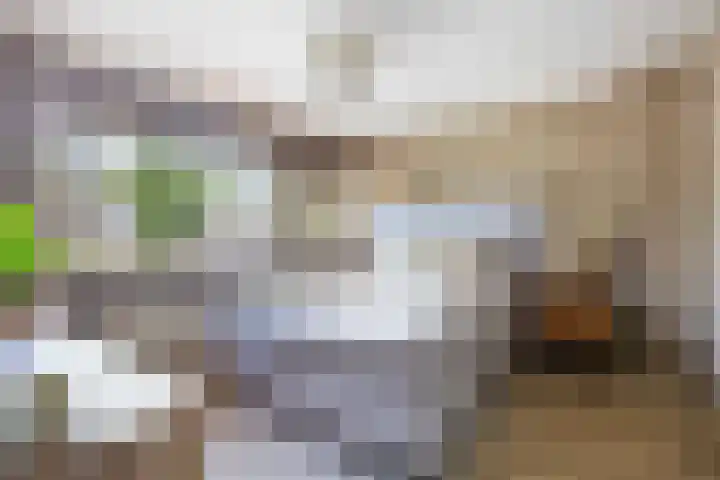 Ampèrestraat 24 Apeldoorn thumbnail 18