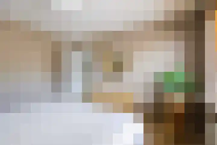 Ampèrestraat 24 Apeldoorn thumbnail 19