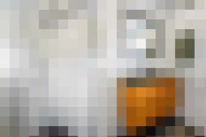 Ampèrestraat 24 Apeldoorn thumbnail 24