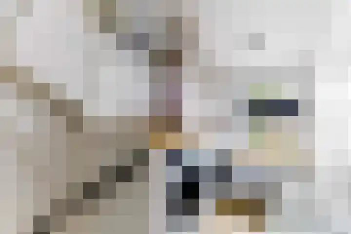 Ampèrestraat 24 Apeldoorn thumbnail 25
