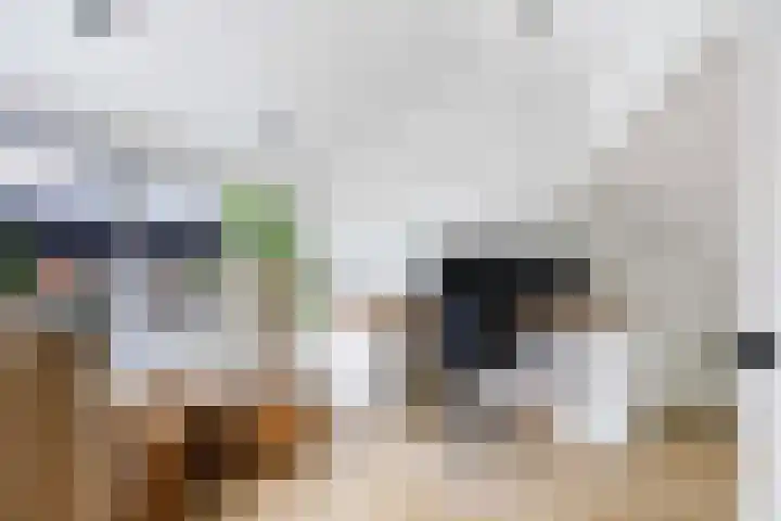 Ampèrestraat 24 Apeldoorn thumbnail 26