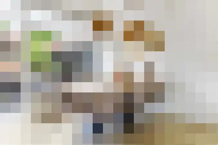 Ampèrestraat 24 Apeldoorn thumbnail 7