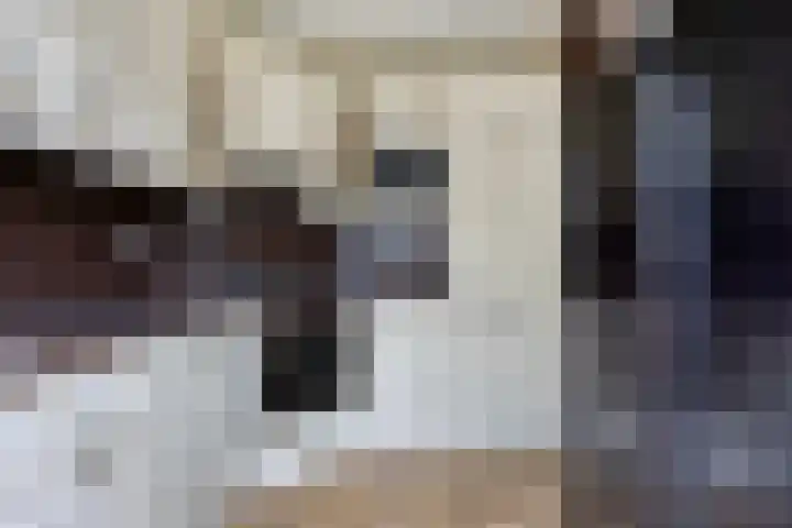 Ampèrestraat 26 Oosterhout thumbnail 10