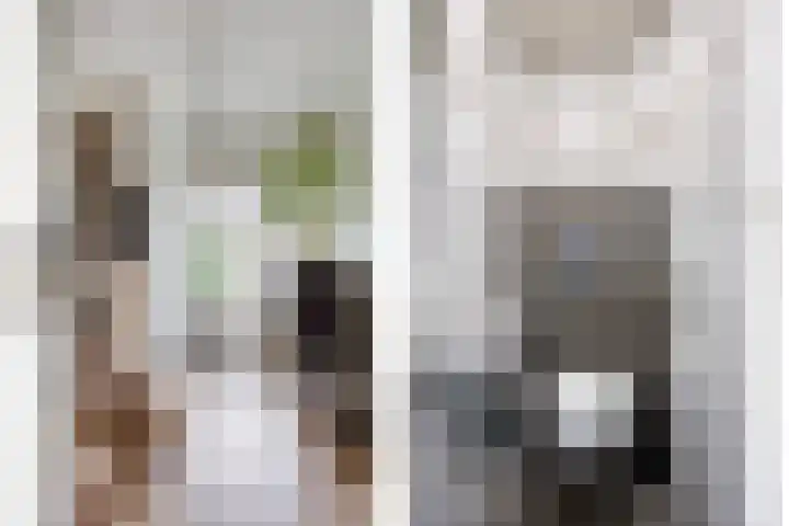Ampèrestraat 26 Oosterhout thumbnail 11