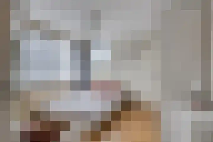Ampèrestraat 26 Oosterhout thumbnail 14