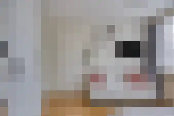 Ampèrestraat 26 Oosterhout thumbnail 15