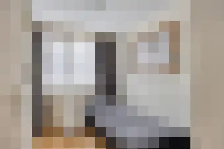 Ampèrestraat 26 Oosterhout thumbnail 16