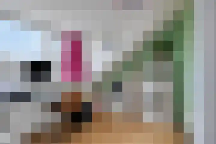 Ampèrestraat 26 Oosterhout thumbnail 19