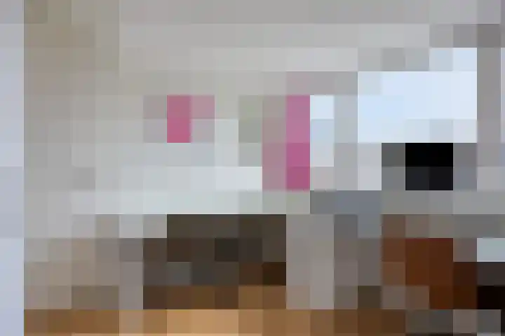 Ampèrestraat 26 Oosterhout thumbnail 20