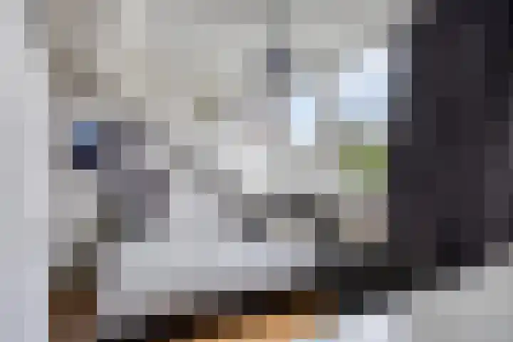 Ampèrestraat 26 Oosterhout thumbnail 21