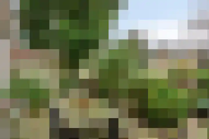 Ampèrestraat 26 Oosterhout thumbnail 24