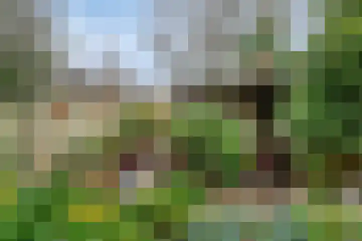Ampèrestraat 26 Oosterhout thumbnail 25