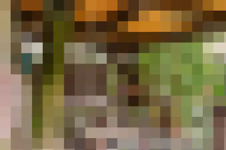 Ampèrestraat 26 Oosterhout thumbnail 27