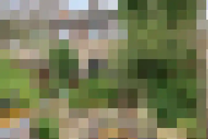 Ampèrestraat 26 Oosterhout thumbnail 28