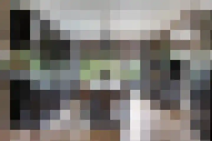 Ampèrestraat 26 Oosterhout thumbnail 5