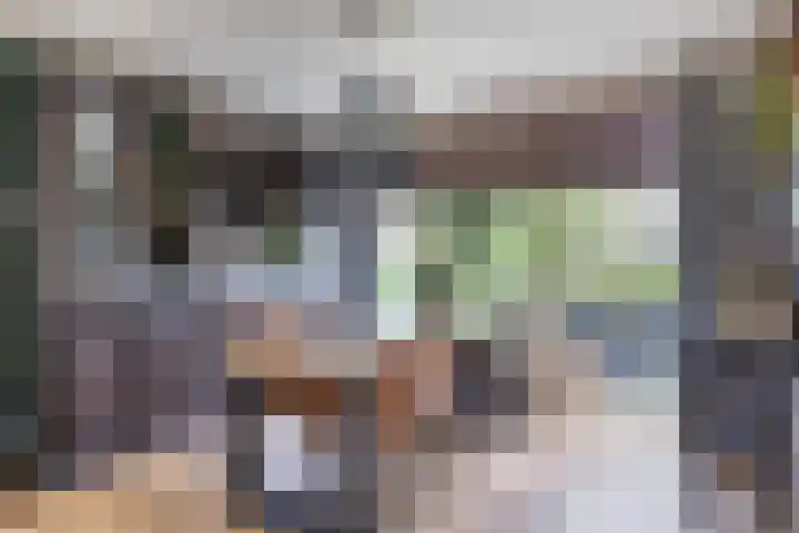Ampèrestraat 26 Oosterhout thumbnail 6