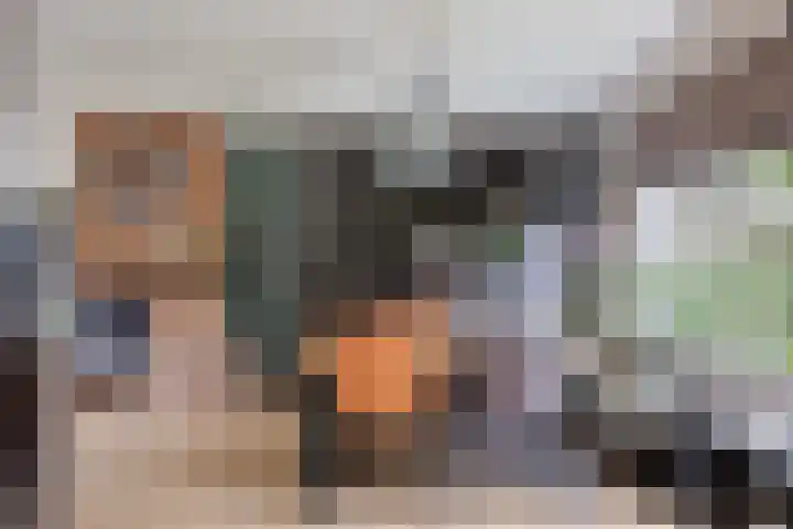 Ampèrestraat 26 Oosterhout thumbnail 7