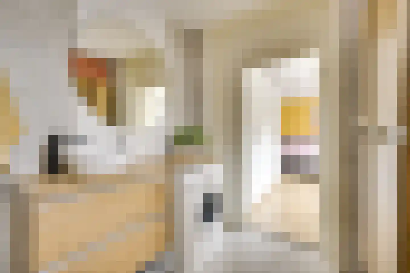 Ampèrestraat 3 Utrecht thumbnail 20