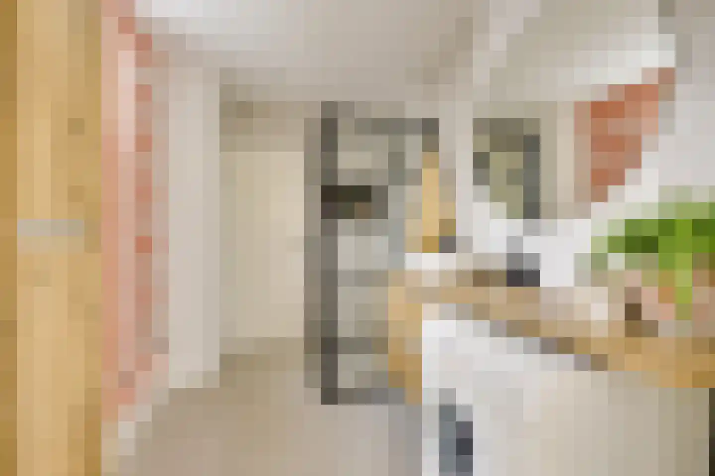 Ampèrestraat 3 Utrecht thumbnail 21