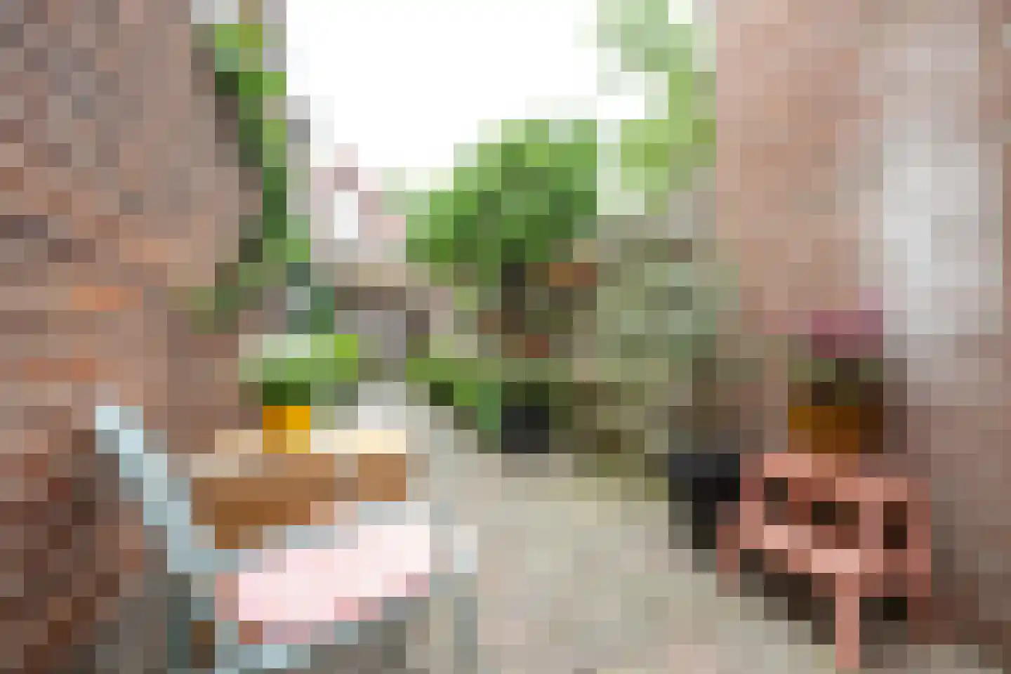 Ampèrestraat 3 Utrecht thumbnail 24