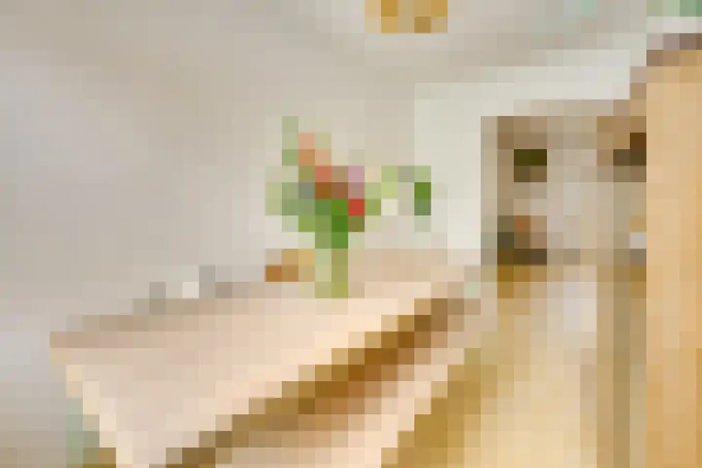 Ampèrestraat 3 Utrecht thumbnail 9