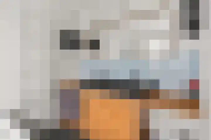 Ampèrestraat 37 Utrecht thumbnail 23