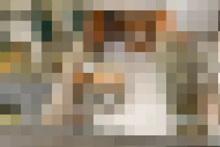 Ampèrestraat 37 Utrecht thumbnail 29