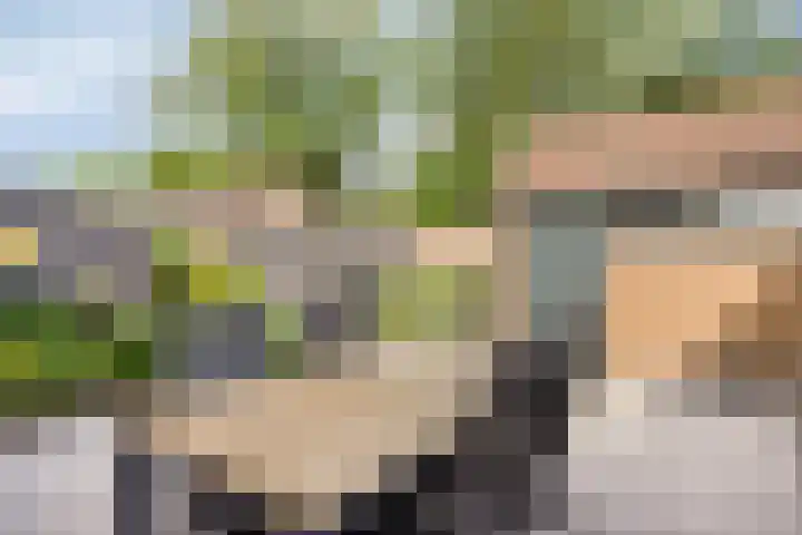 Ampèrestraat 38 Apeldoorn thumbnail 22