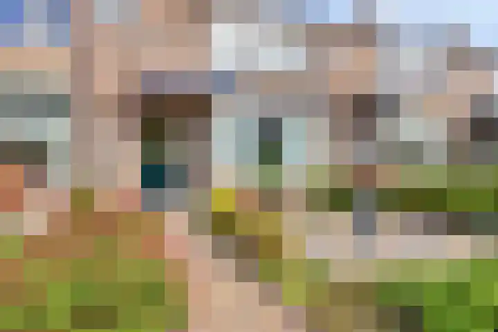 Ampèrestraat 38 Apeldoorn thumbnail 26