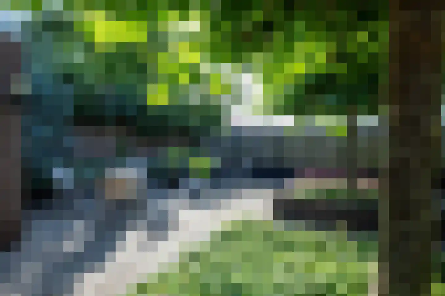 Ampèrestraat 38 Kudelstaart thumbnail 33