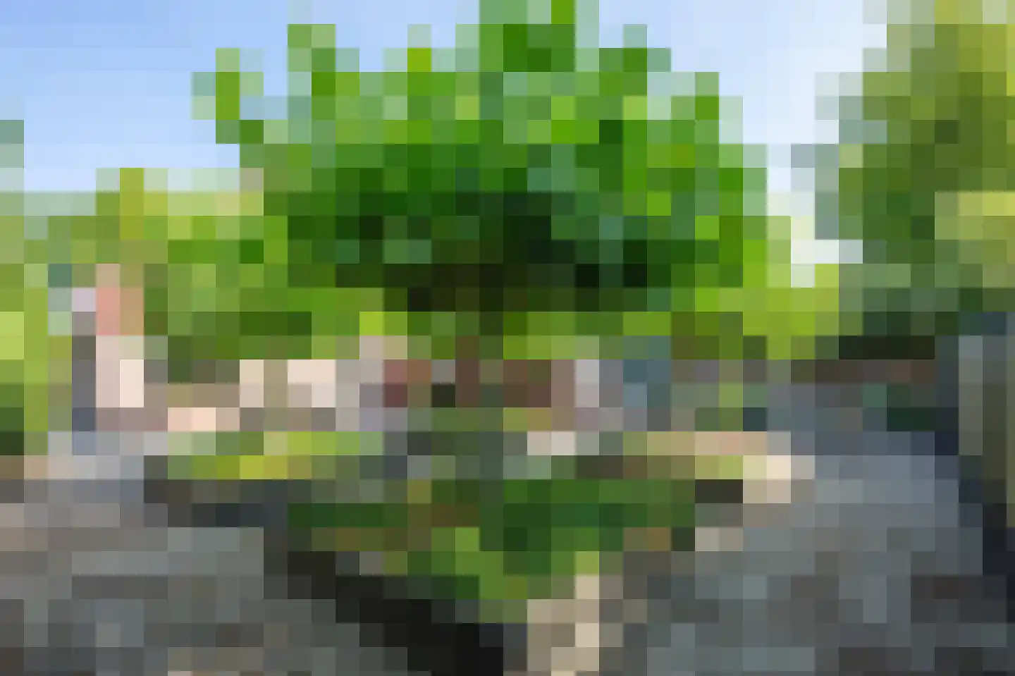 Ampèrestraat 38 Kudelstaart thumbnail 34
