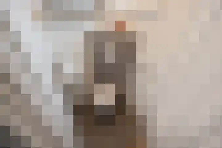 Ampèrestraat 5 Den Haag thumbnail 15