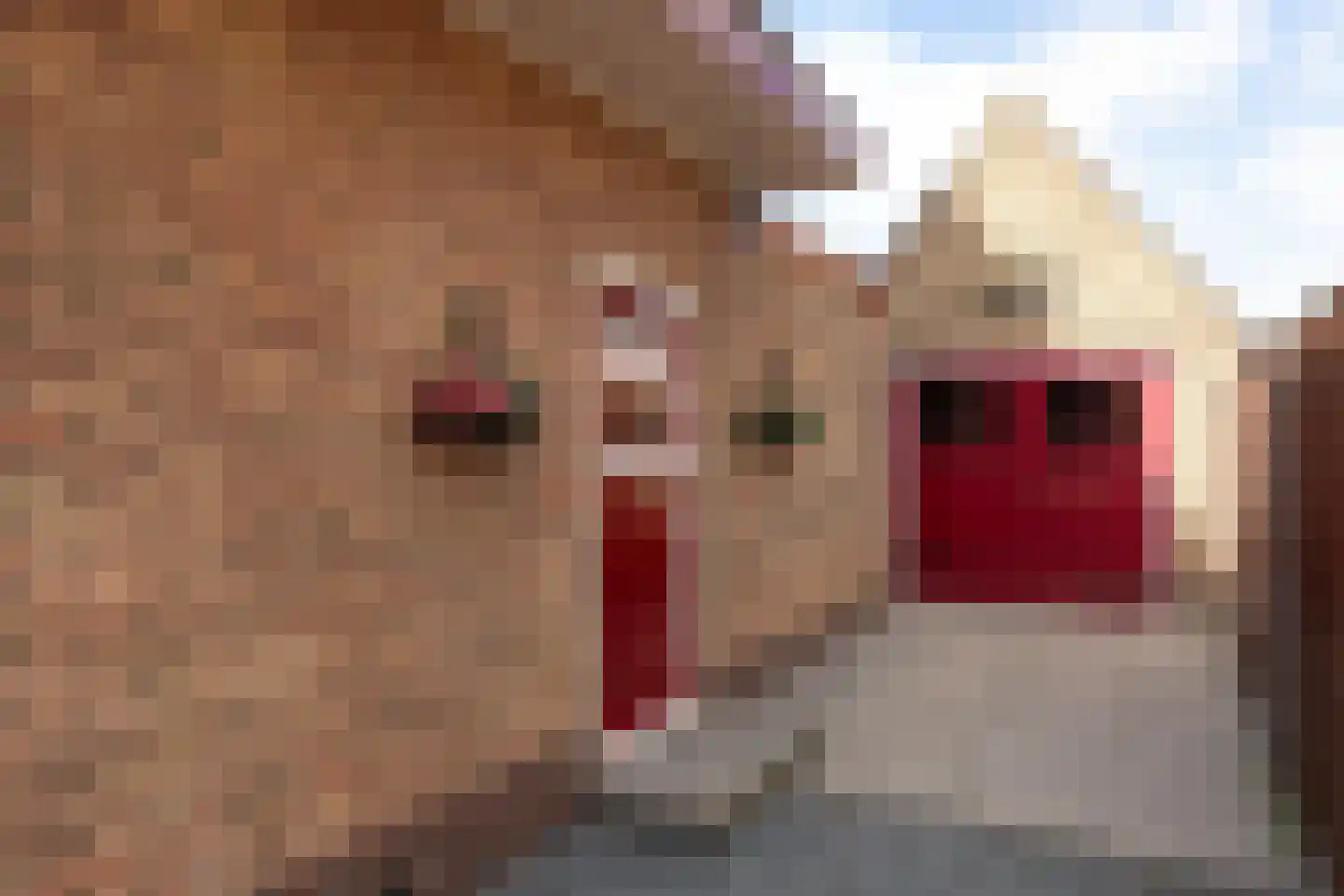 Ampèrestraat 64 A Hilversum thumbnail 6