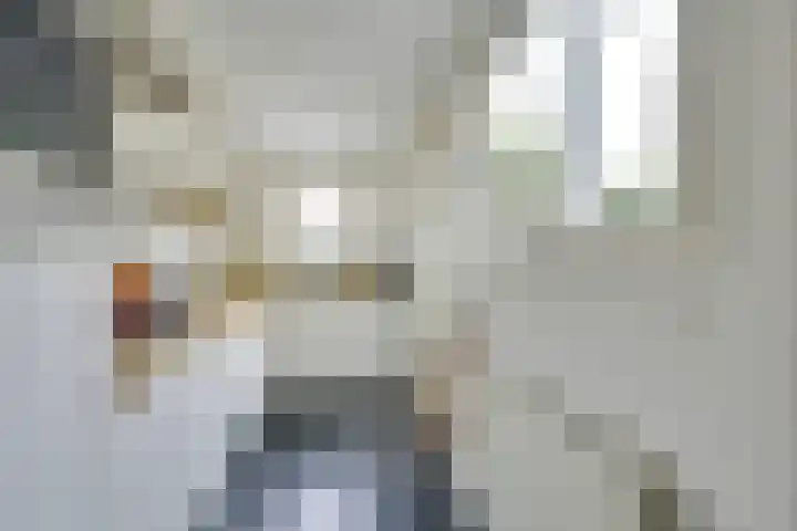 Ampèrestraat 69 Utrecht thumbnail 14